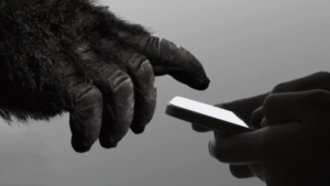 Motorola will use Corning Gorilla Glass in its phones starting second half of this year.